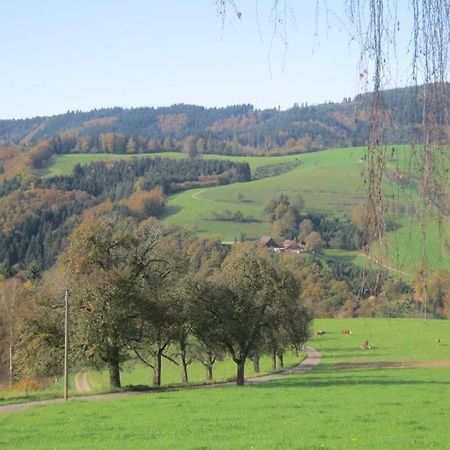 Ferienhaus Hubhof Oberharmersbach Luaran gambar